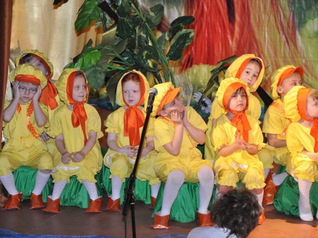 Гадкий утенок
