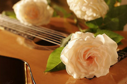 2015 12 17 guitar