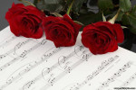 2016 03 22 3rose